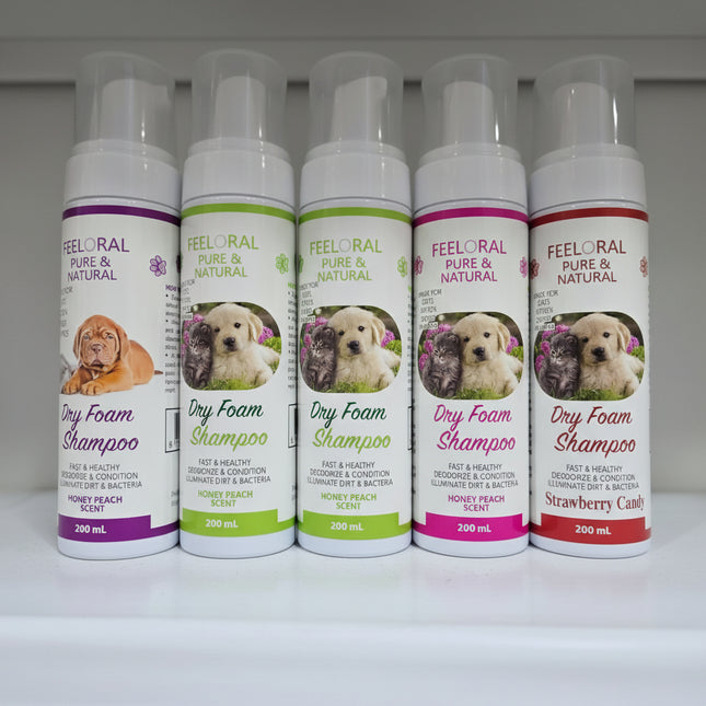 Row of Feeloral Dry Foam Shampoo bottles with dog images on labels.
