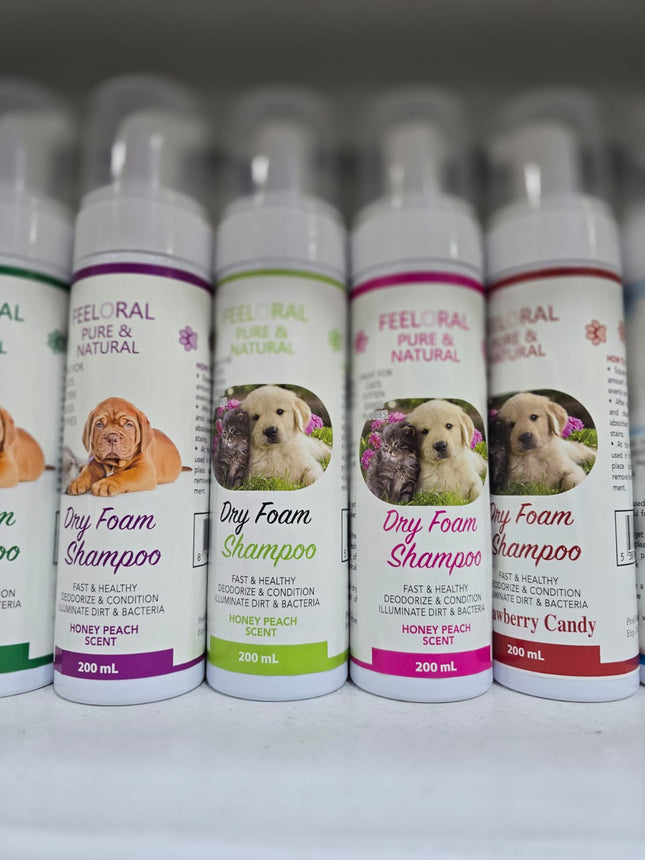 Row of Feeloral Dry Foam Shampoo bottles with dog images on labels.