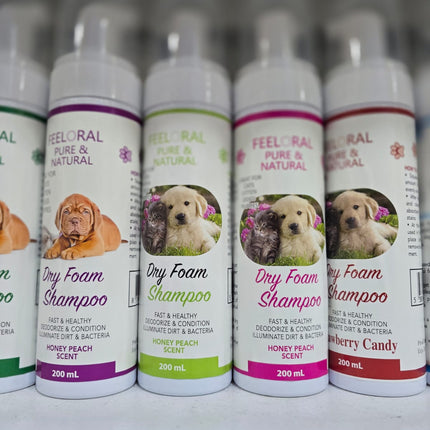 Offer dry shampoo+ perfume+ brush manual+ steam brush for Cat And Dog