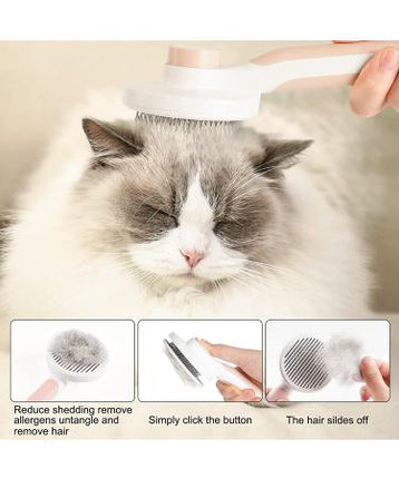 Offer dry shampoo+ perfume+ brush manual+ steam brush for Cat And Dog