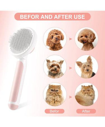 Offer dry shampoo+ perfume+ brush manual+ steam brush for Cat And Dog