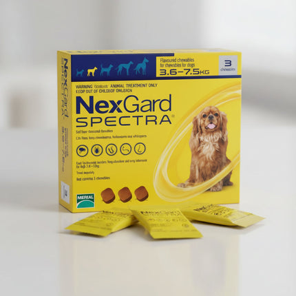 NexGard Spectra – Complete Protection for Dogs