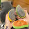 Mango 3 in 1 Electric Steam Brush for Cat Dog, Pet Grooming Massage Comb, Steamy Sprayer for Shedding and Hair Care