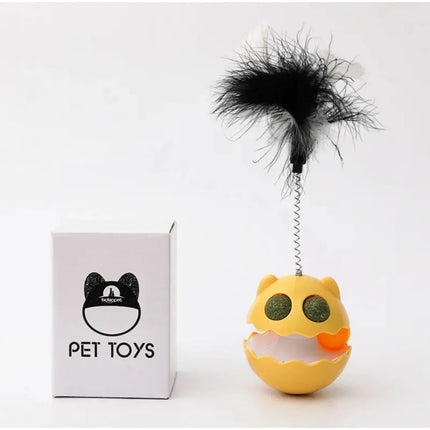 Catnip cat toy