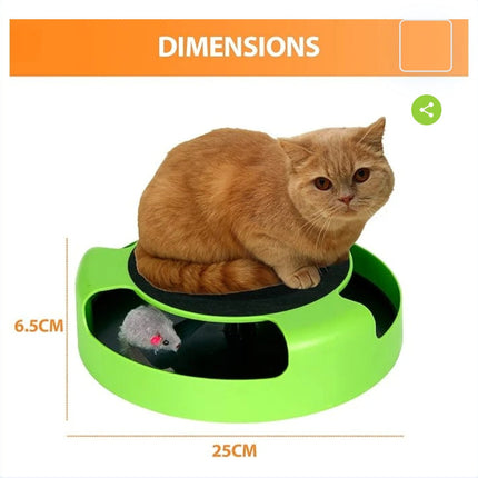 Catch the mouse Cat game