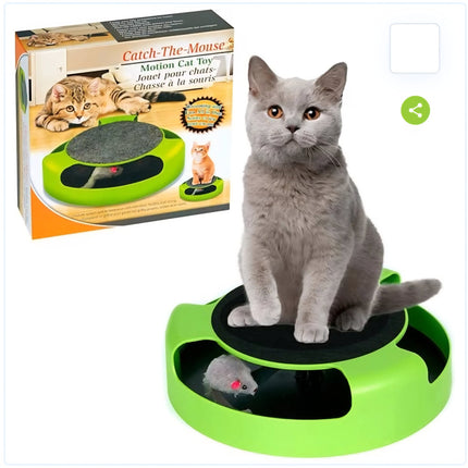 Catch the mouse Cat game
